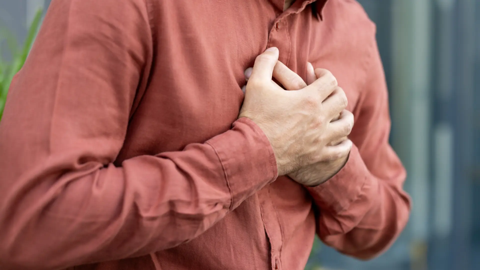 Testan con éxito un «parche para el corazón» que regenera el tejido después de un infarto