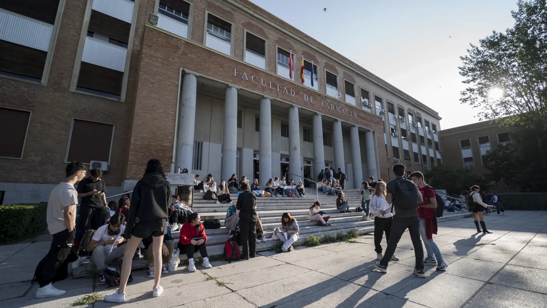 La IA anticipa las cinco carreras universitarias que no deberías estudiar en 2026