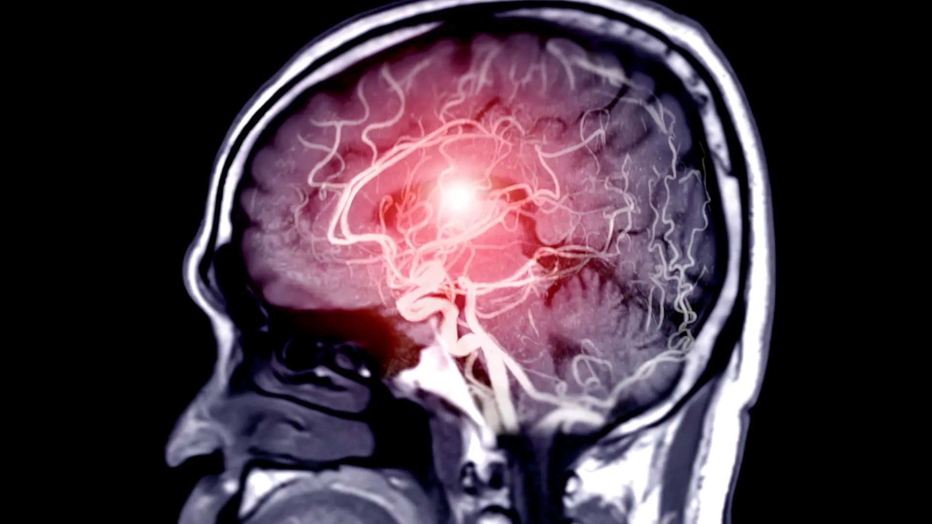 El hobby que te ayuda a retrasar el envejecimiento cerebral y para el que solo necesitas unos prismáticos