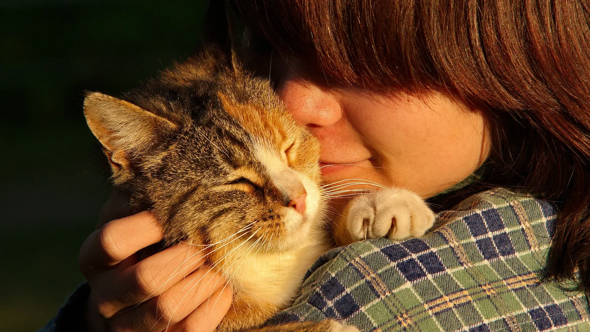 Convivir con gatos no empeora el asma infantil ni aumenta las crisis, según un estudio sueco en 30.000 niños