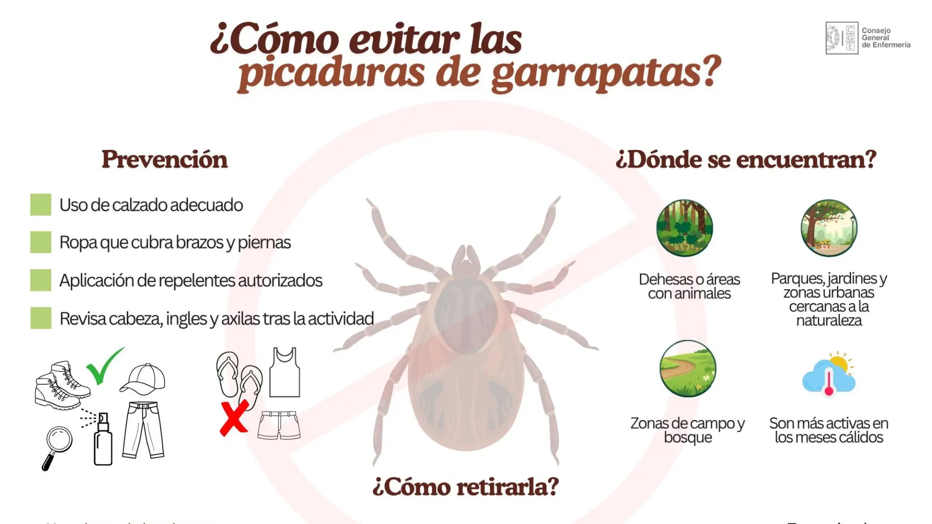 Las enfermeras alertan del repunte de picaduras de garrapatas en España
