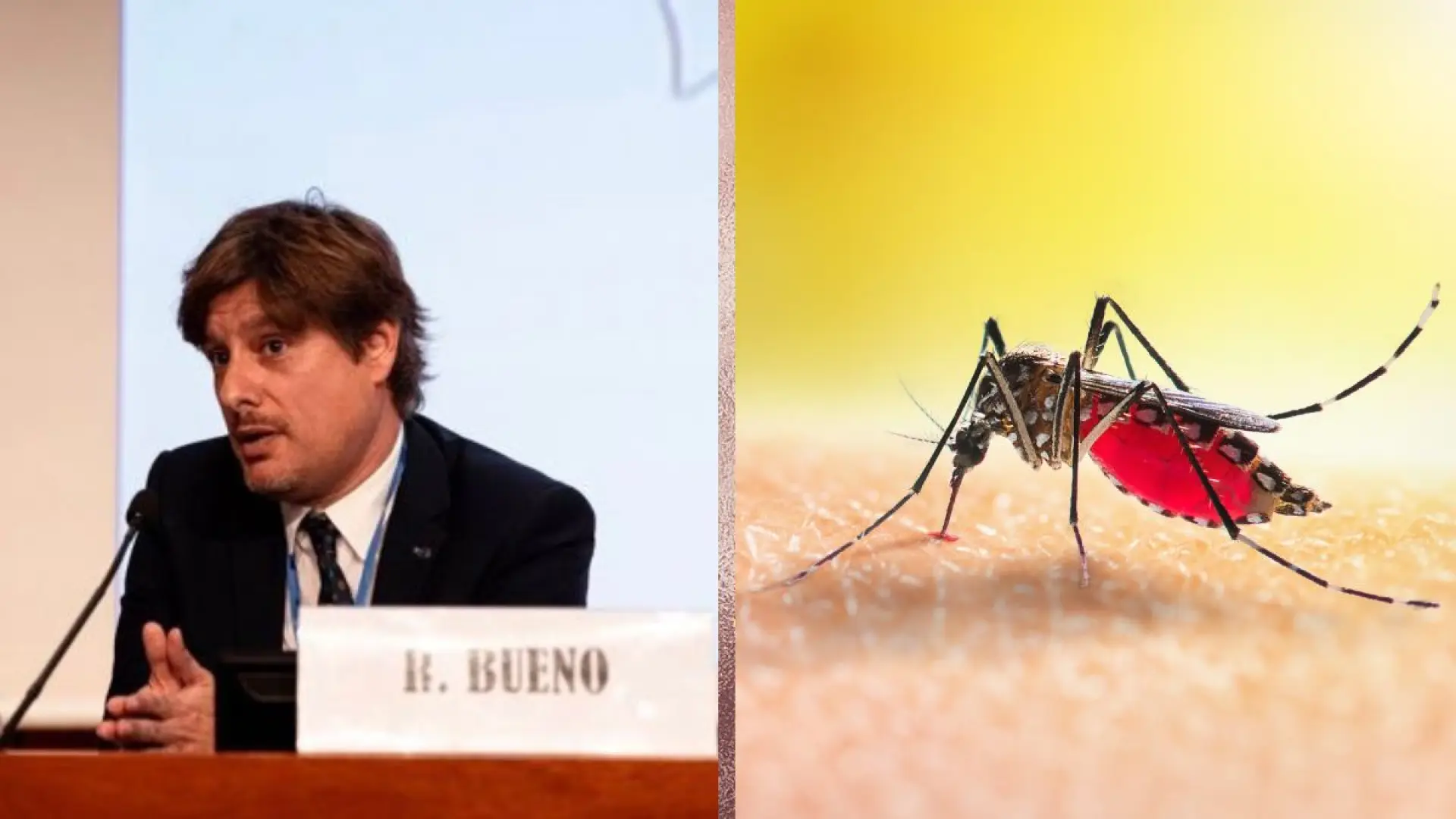 El biólogo Rubén Bueno desvela por qué los mosquitos te pican más: «Lo que les atrae no es la sangre más dulce»