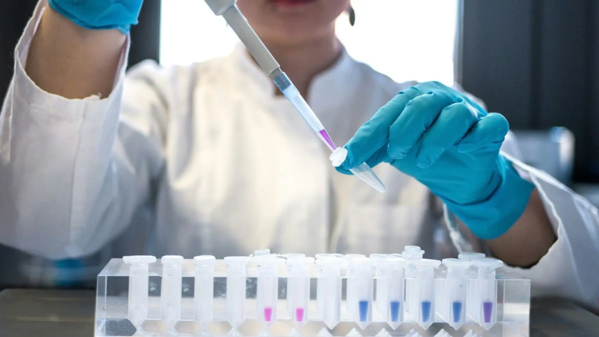 España estrena una tecnología capaz de observar un tumor en 3D y ver qué genes están activos en cada zona