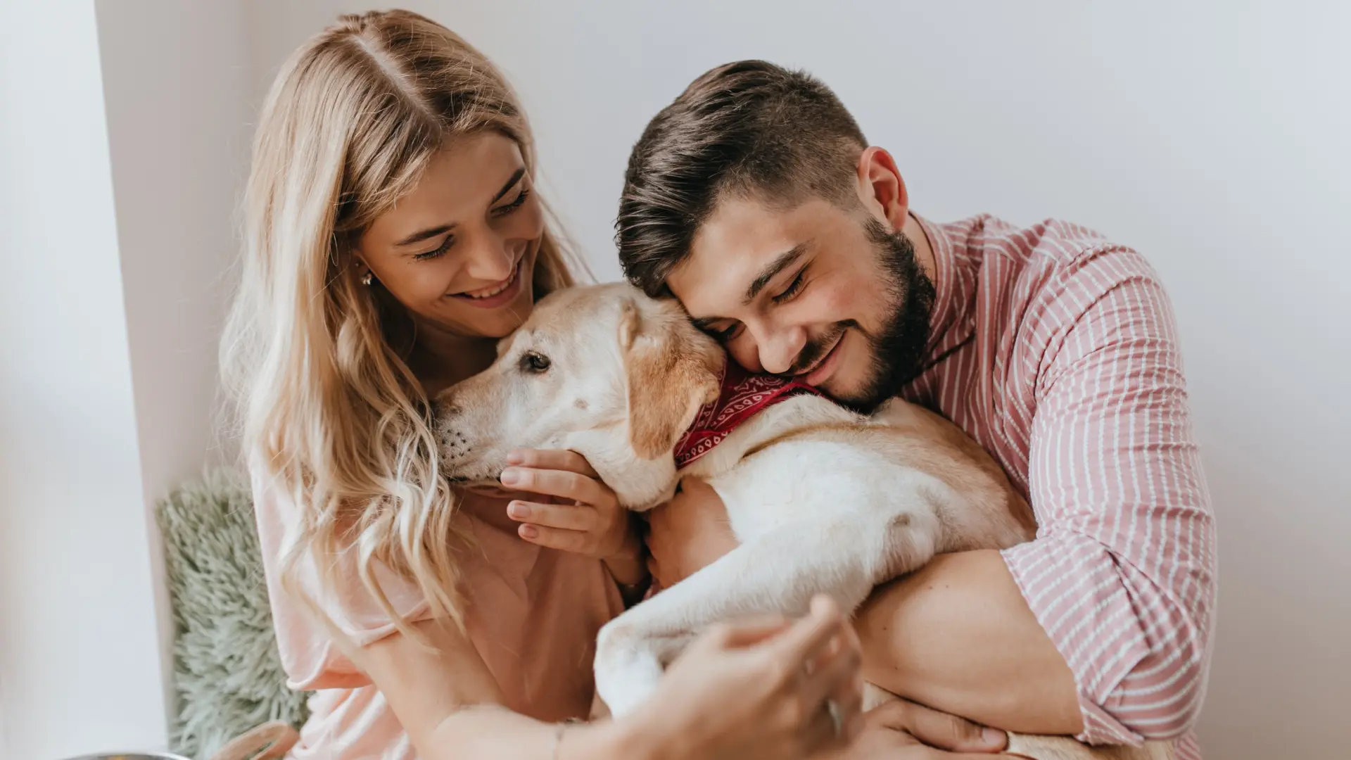 Del corazón humano al de los perros: enfermedades y tratamientos que se comparten con las mascotas