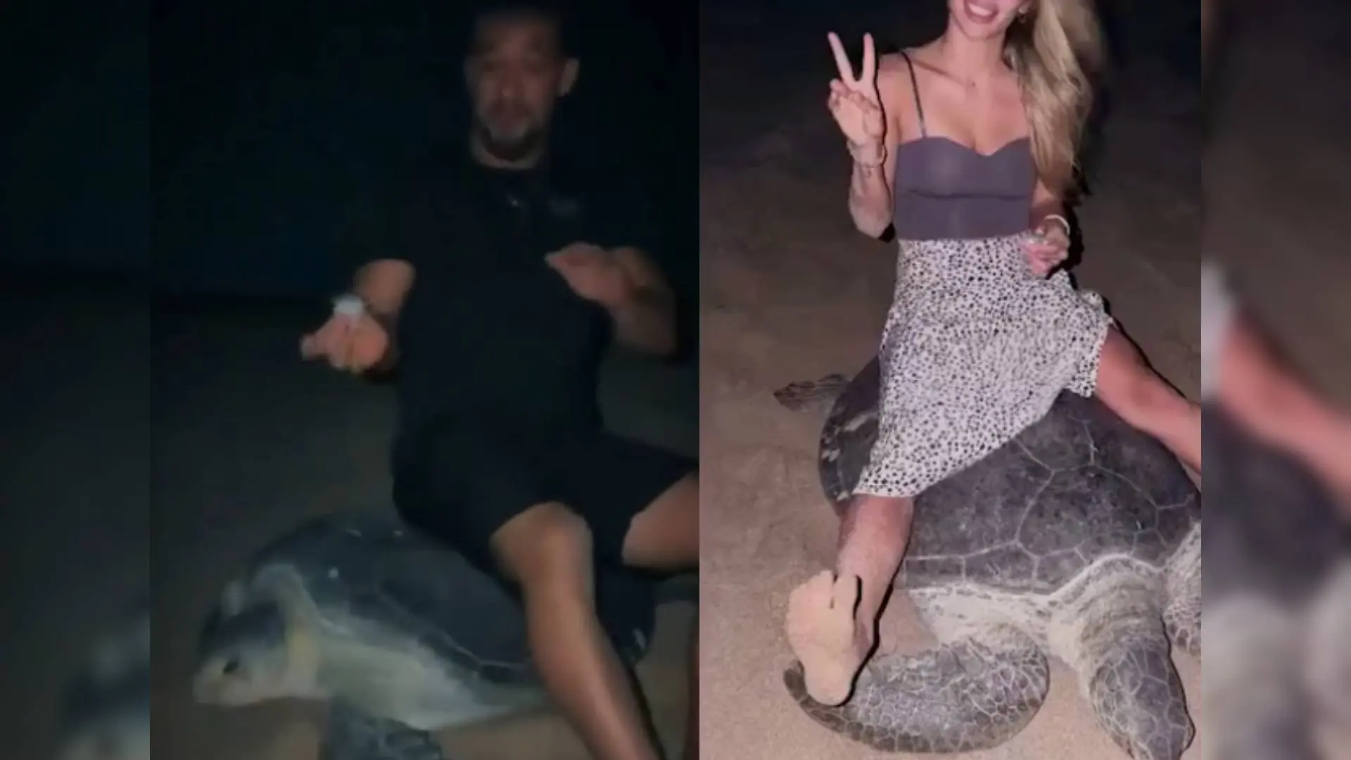 Una pareja de 'influencers', investigados por maltrato animal tras grabarse sentados encima de una tortuga marina