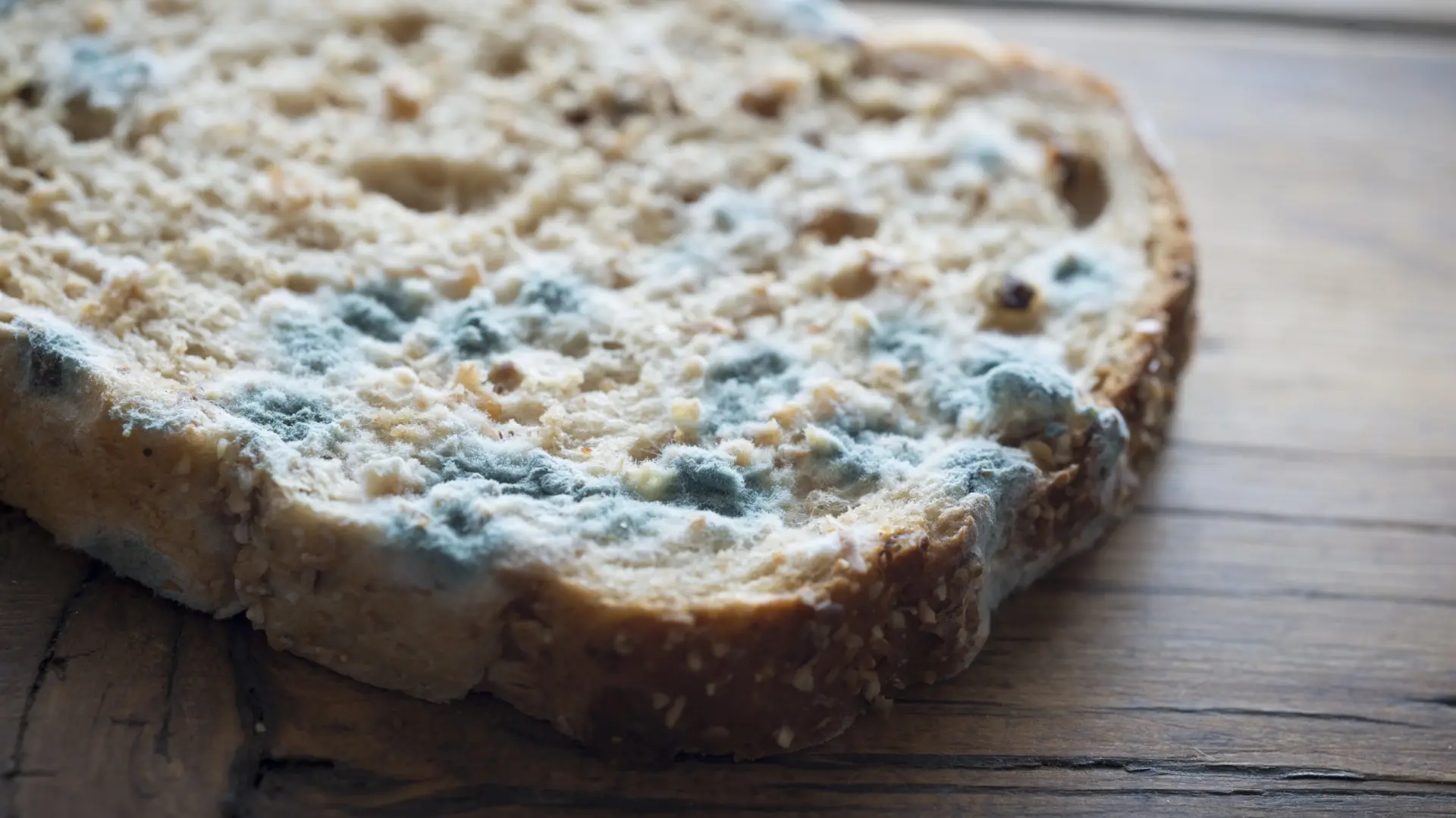 Los peligros de comer pan con moho y qué hacer si lo encuentras