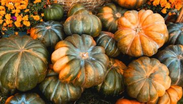 Día de Muertos: la calabaza de castilla en cifras, tradición y hasta en “tacha”