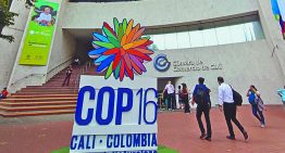 ¿Qué está sucediendo durante la COP16 de biodiversidad?