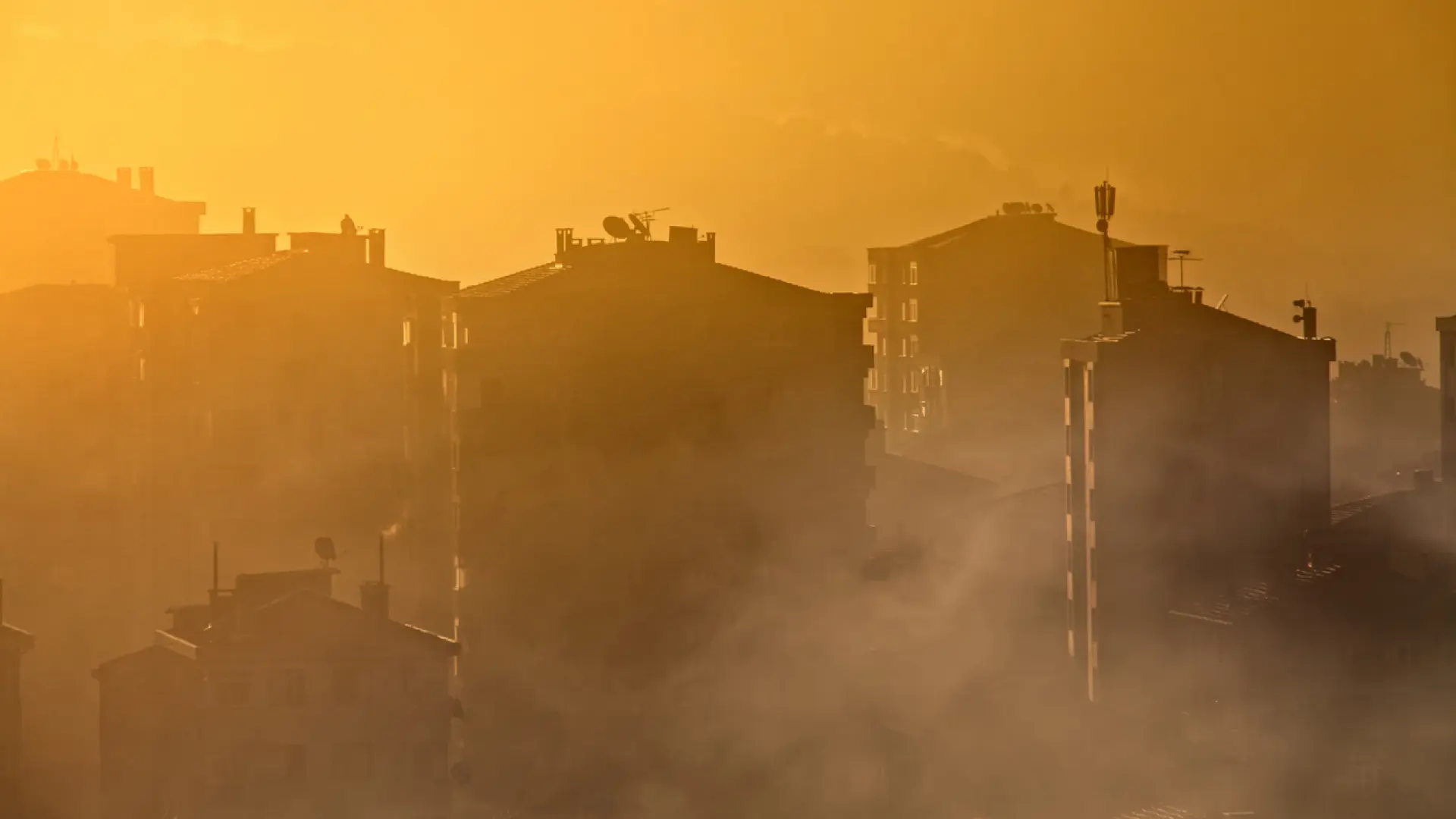 ¿Cuál es la relación entre la contaminación del aire y el alzhéimer? Un nuevo estudio tratará de dar con la respuesta definitiva