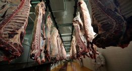 China inicia investigación contra las importaciones de carne de res de Brasil y Argentina