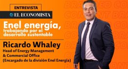 Enel Energía, trabajando por el desarrollo sustentable