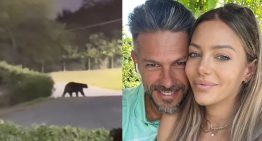 Un oso en la casa de Martín Demichelis: del susto de Evangelina Anderson en un video a las burlas de los mexicanos al DT argentino