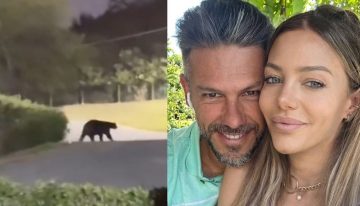 Un oso en la casa de Martín Demichelis: del susto de Evangelina Anderson en un video a las burlas de los mexicanos al DT argentino