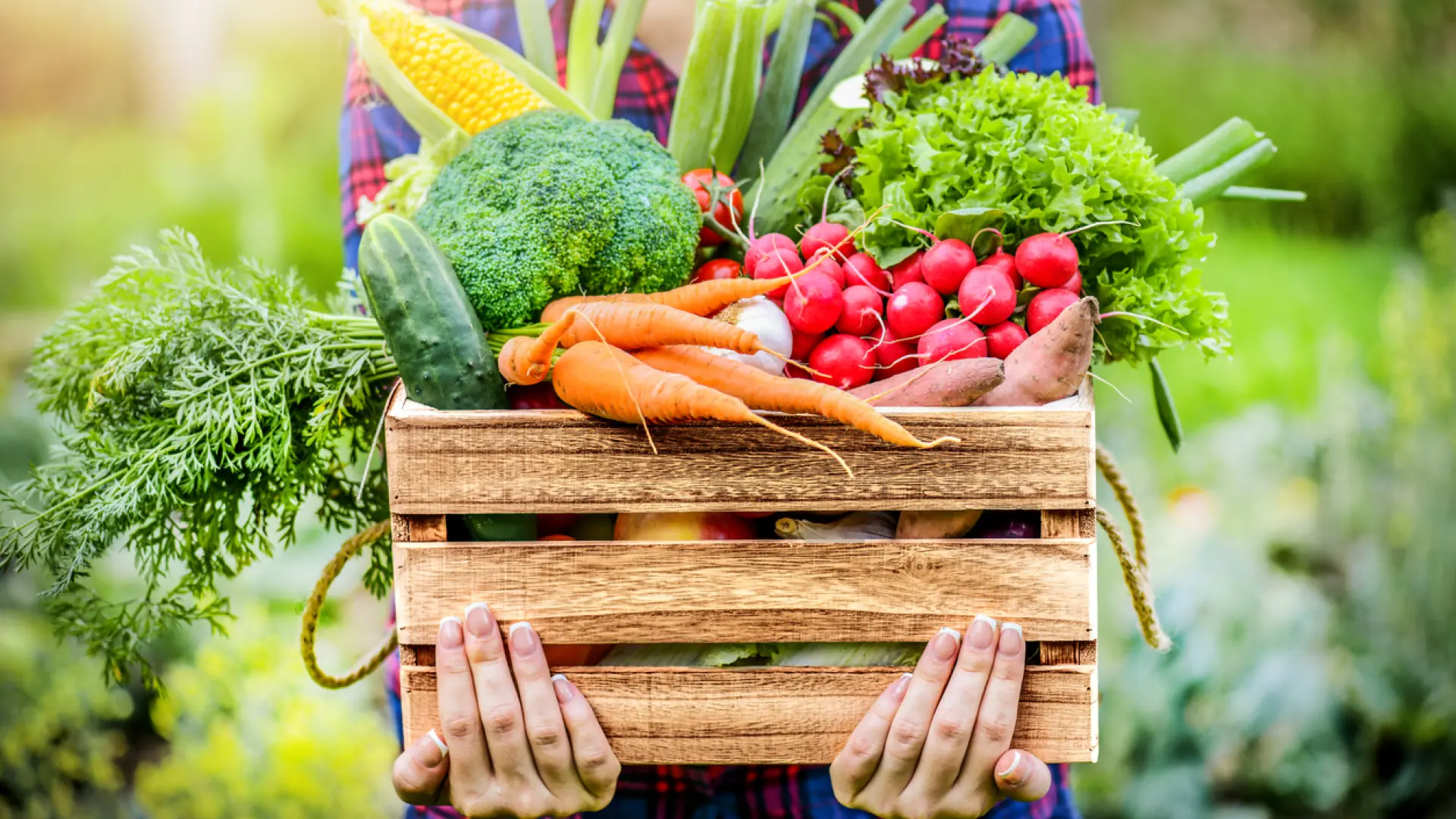 Ni pepino ni cebolla: estas son las dos verduras que más bajan la presión arterial según la ciencia