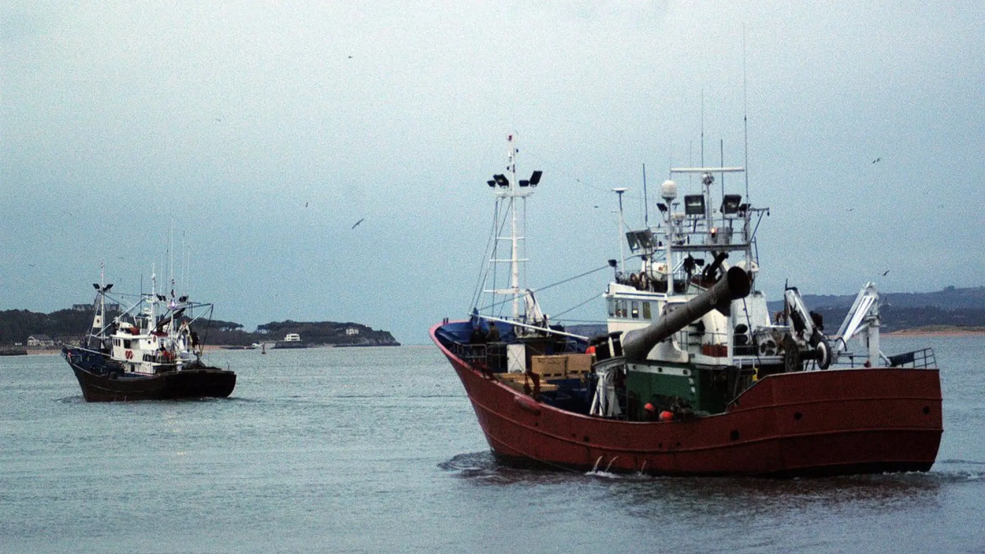 Francia prohibirá cuatro semanas la pesca en sus aguas del Golfo de Vizcaya: tampoco podrán hacerlo los pesqueros españoles