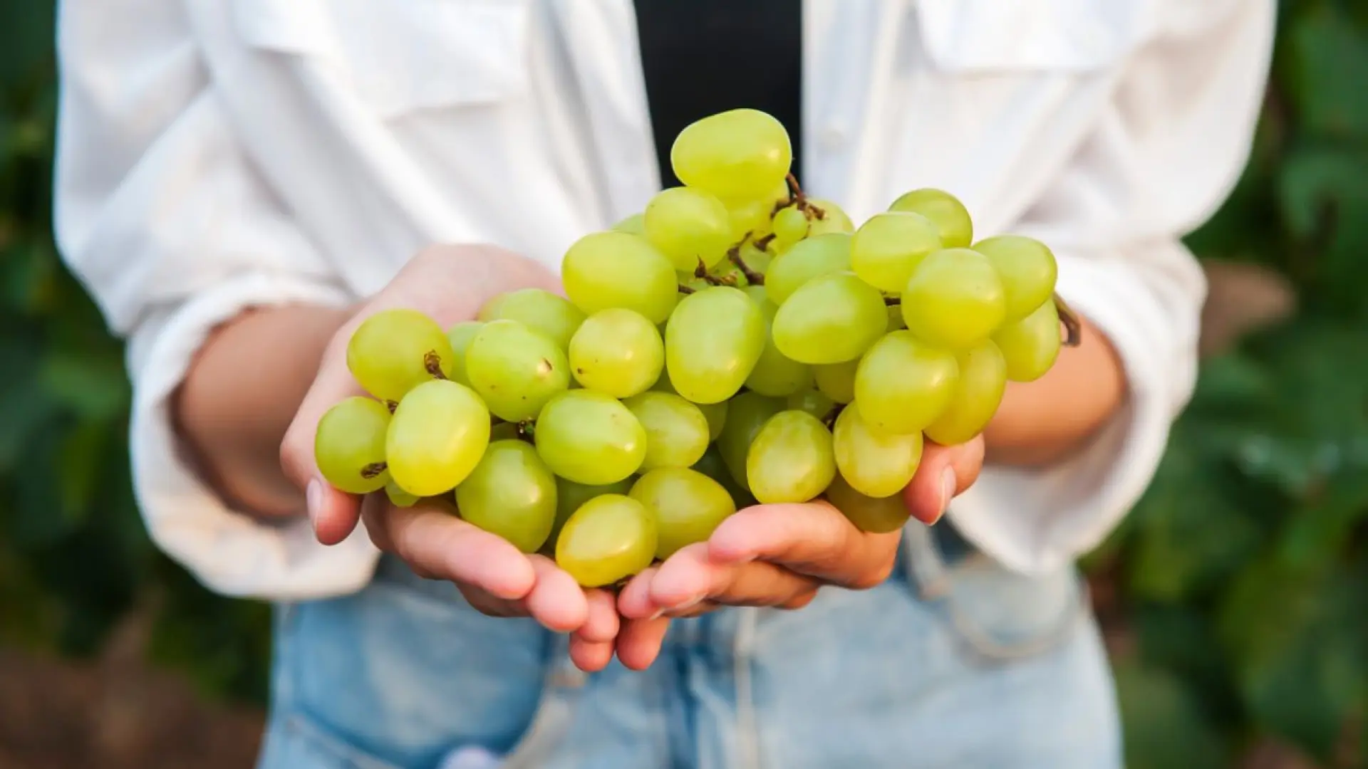 El efecto en los riñones de comer uvas