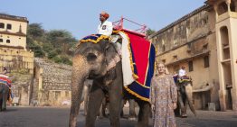 Un mágico viaje a India de la mano de Gabriella Cortese, creadora de Antik Batik