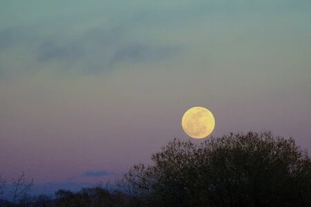 Luna Llena