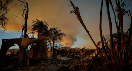 Aumenta a 11 la cifra de muertos por los incendios forestales en Los Ángeles