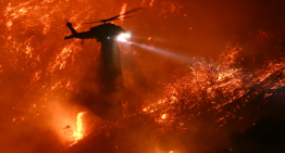 Sube a 16 el número de muertos por incendios en Los Ángeles, California; reportan 13 desaparecidos