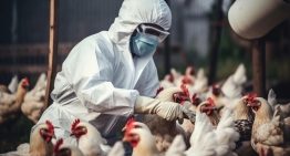 Virus de influenza H5N1 no es de alarma, pero hay que vigilarlo: UNAM