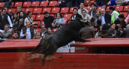 ¡Susto en la Plaza México! Toro Hechicero 'vuela' hacía el público