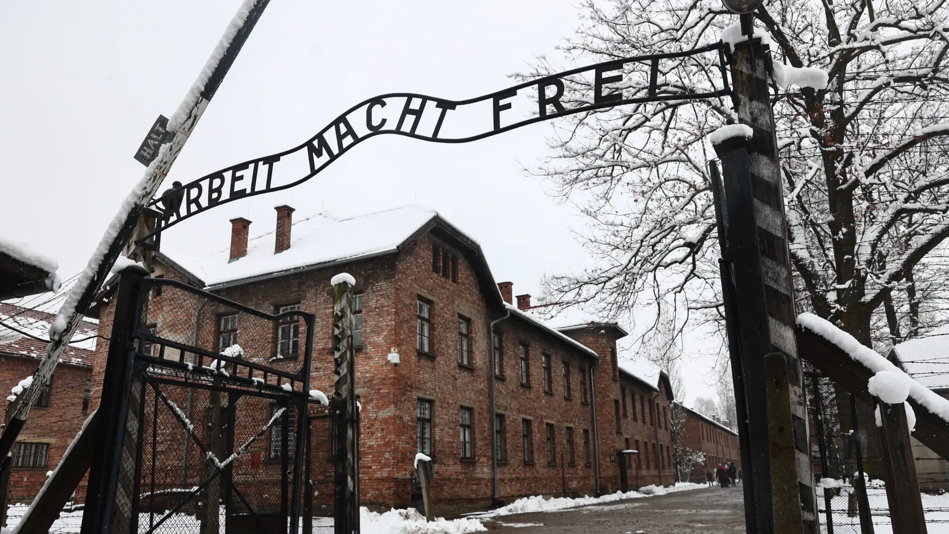 Auschwitz: el mayor recuerdo de la crueldad humana