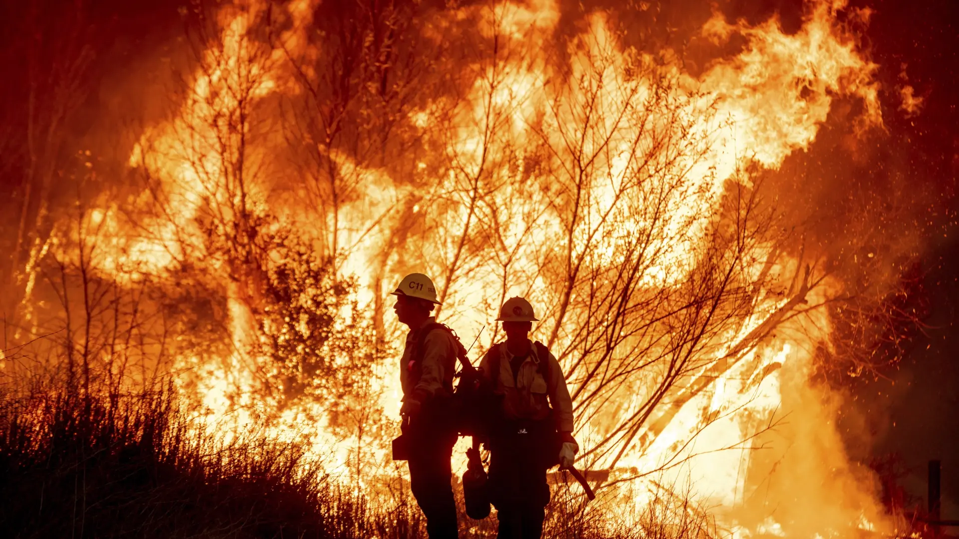 California, capital del fuego