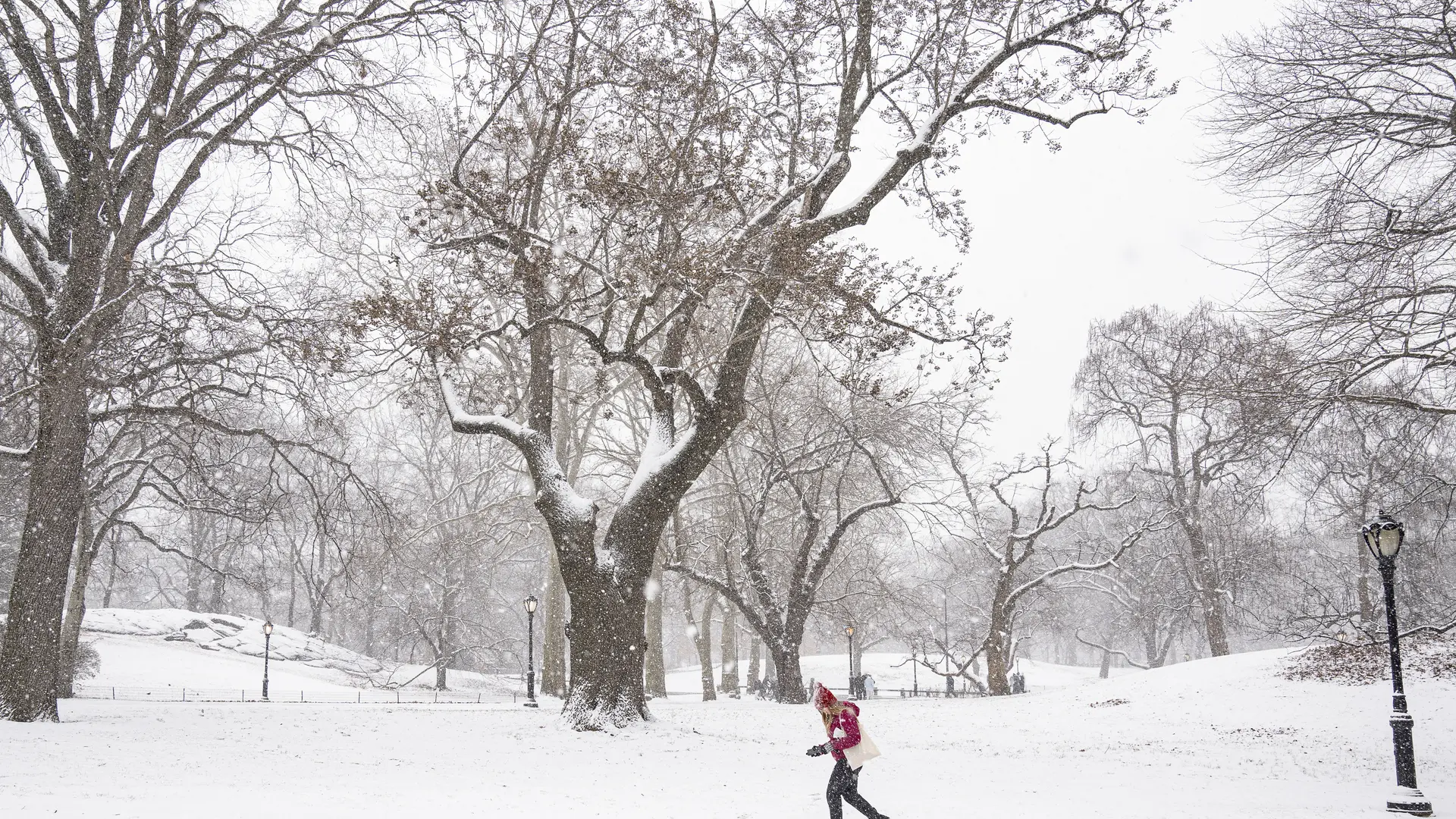 Cinco muertos, más de 2.000 vuelos cancelados y seis estados en alerta: EEUU se enfrenta al peor temporal de nieve en décadas