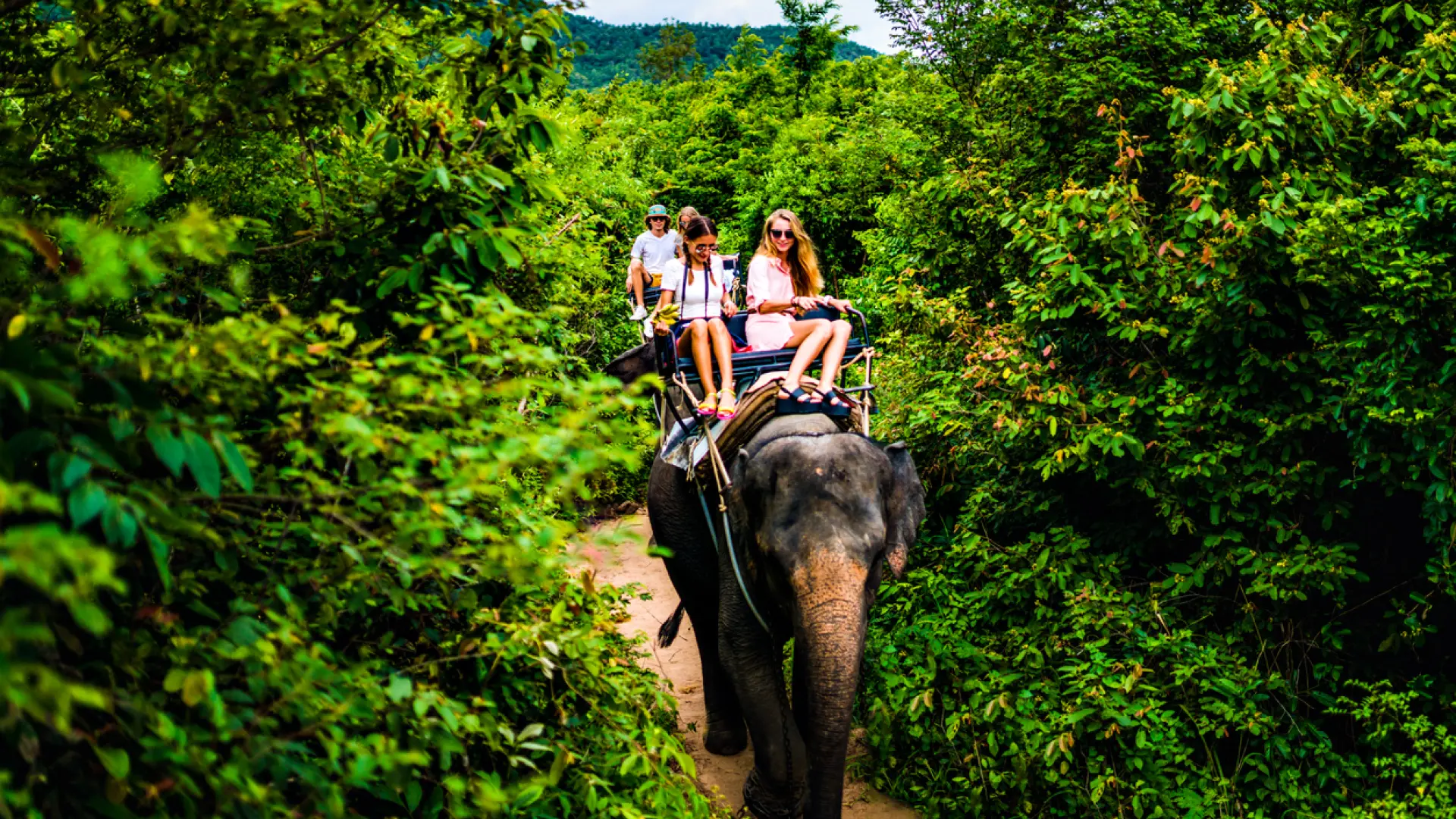 Muere una turista española al ser atacada por un elefante en Tailandia