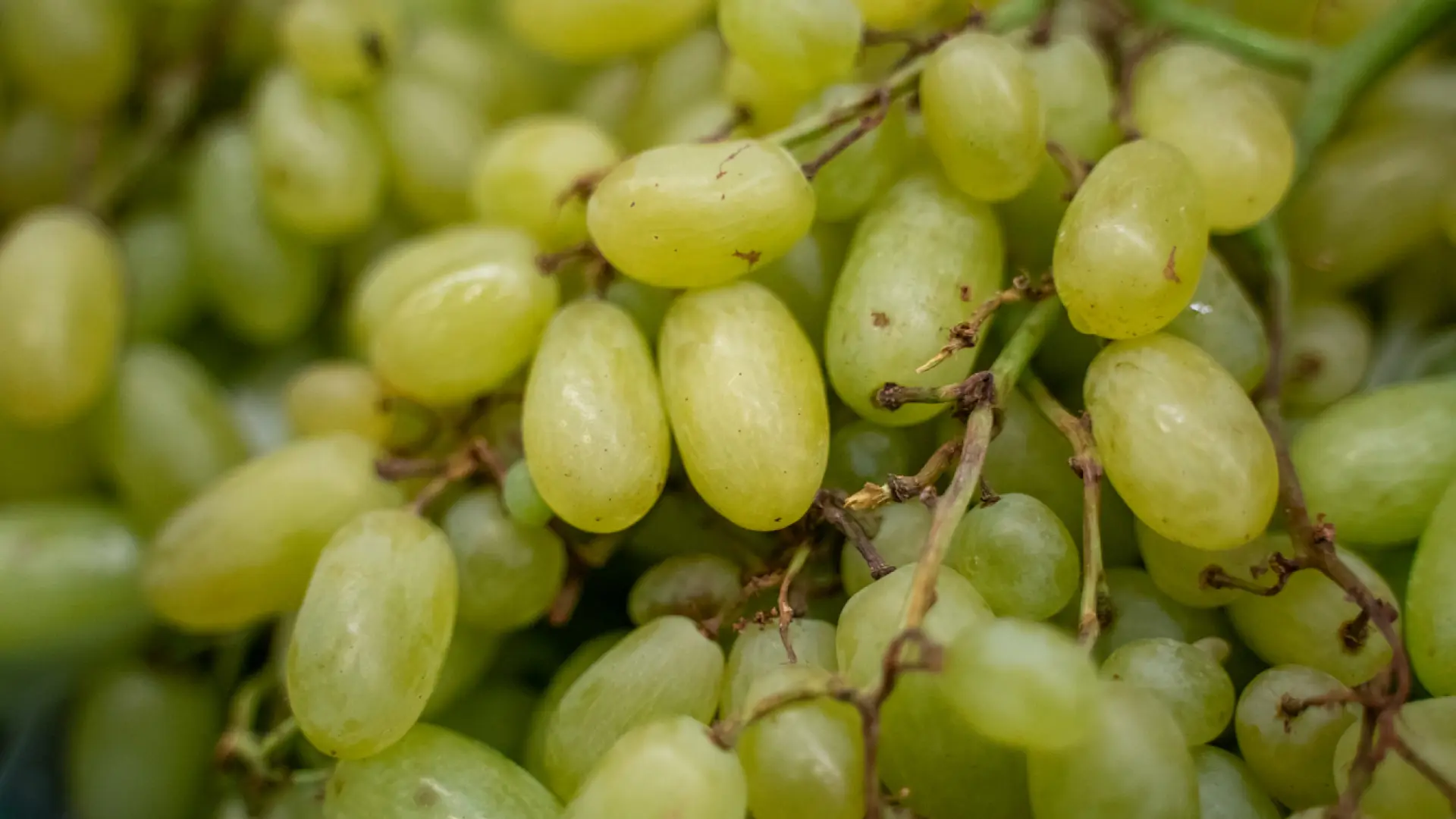 El efecto en los riñones de comer uvas