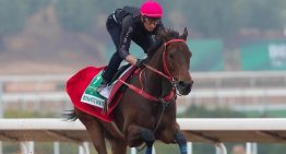 Saudi Cup 2025: la carrera de turf de los 20 millones de dólares en 2 minutos, con el caballo más ganador de la historia y la ilusión de dos representantes argentinos