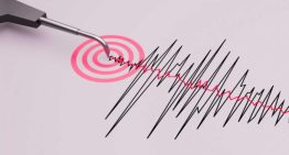 Sismo magnitud 4.6 se siente al sur de la costa de Salina Cruz, Oaxaca