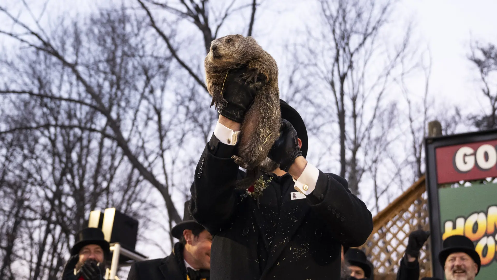 Día de la marmota: las mejores imágenes de Phil y su predicción