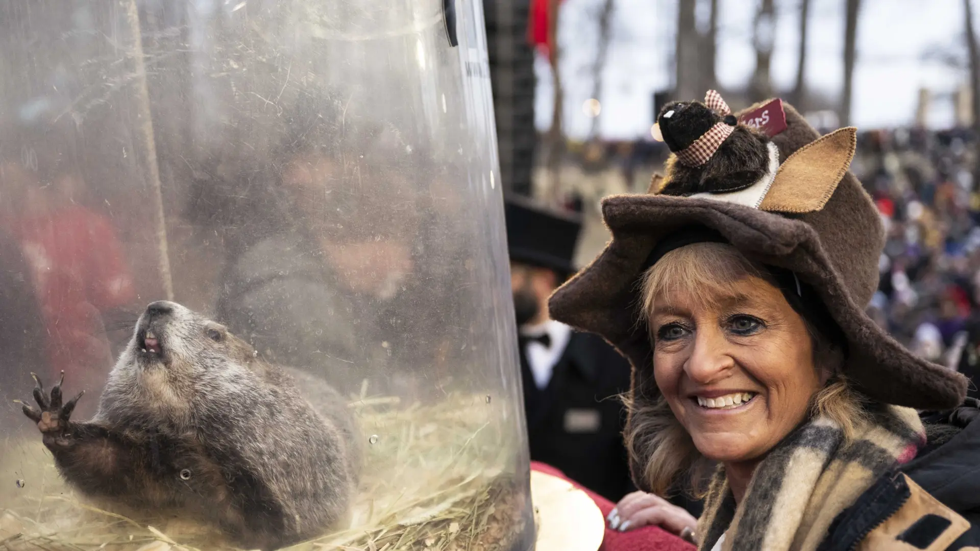 La respuesta del gobernador de Pensilvania a los animalistas que piden cambiar a Phil por una tarta vegana el día de la marmota