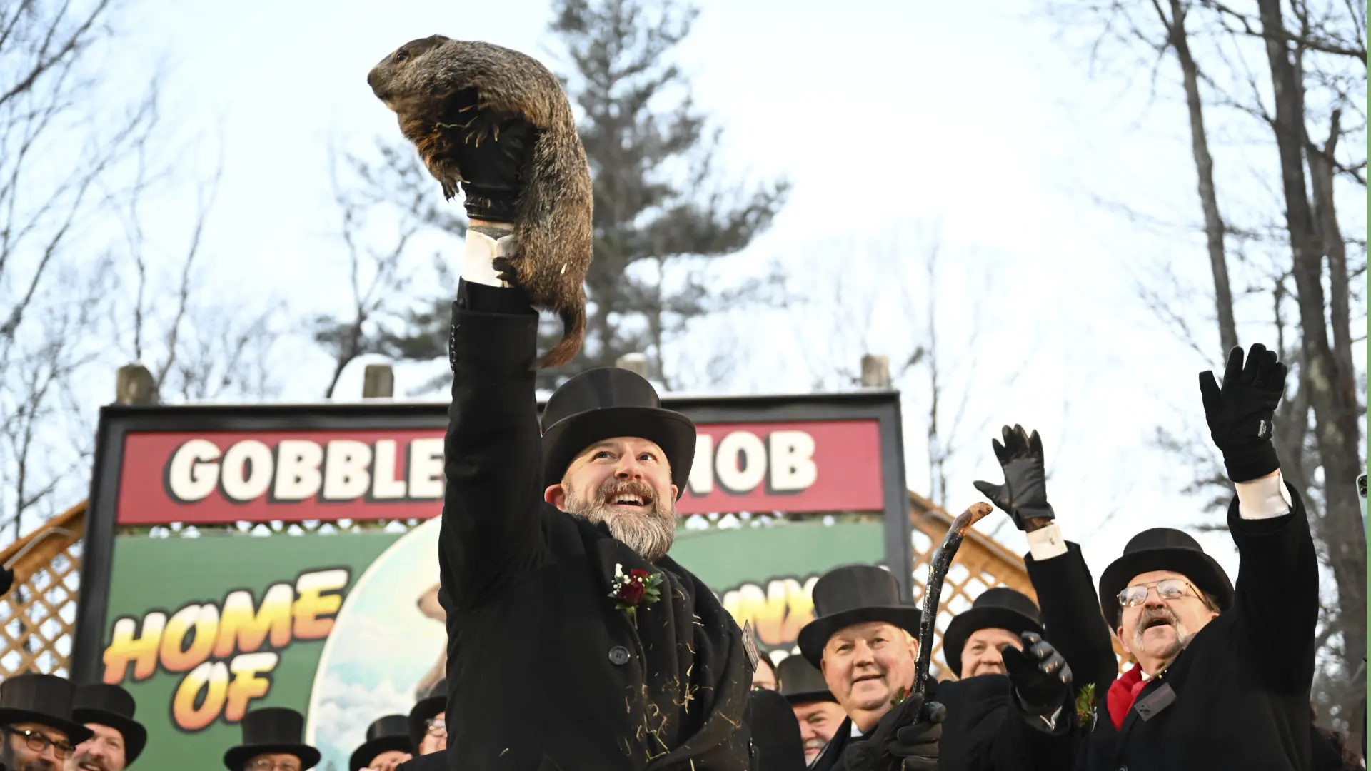 Qué es el Día de la Marmota y por qué se celebra el 2 de febrero