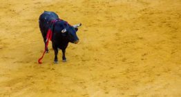 Gobierno de CDMX promueve prohibir el maltrato de animales en las corridas de toros