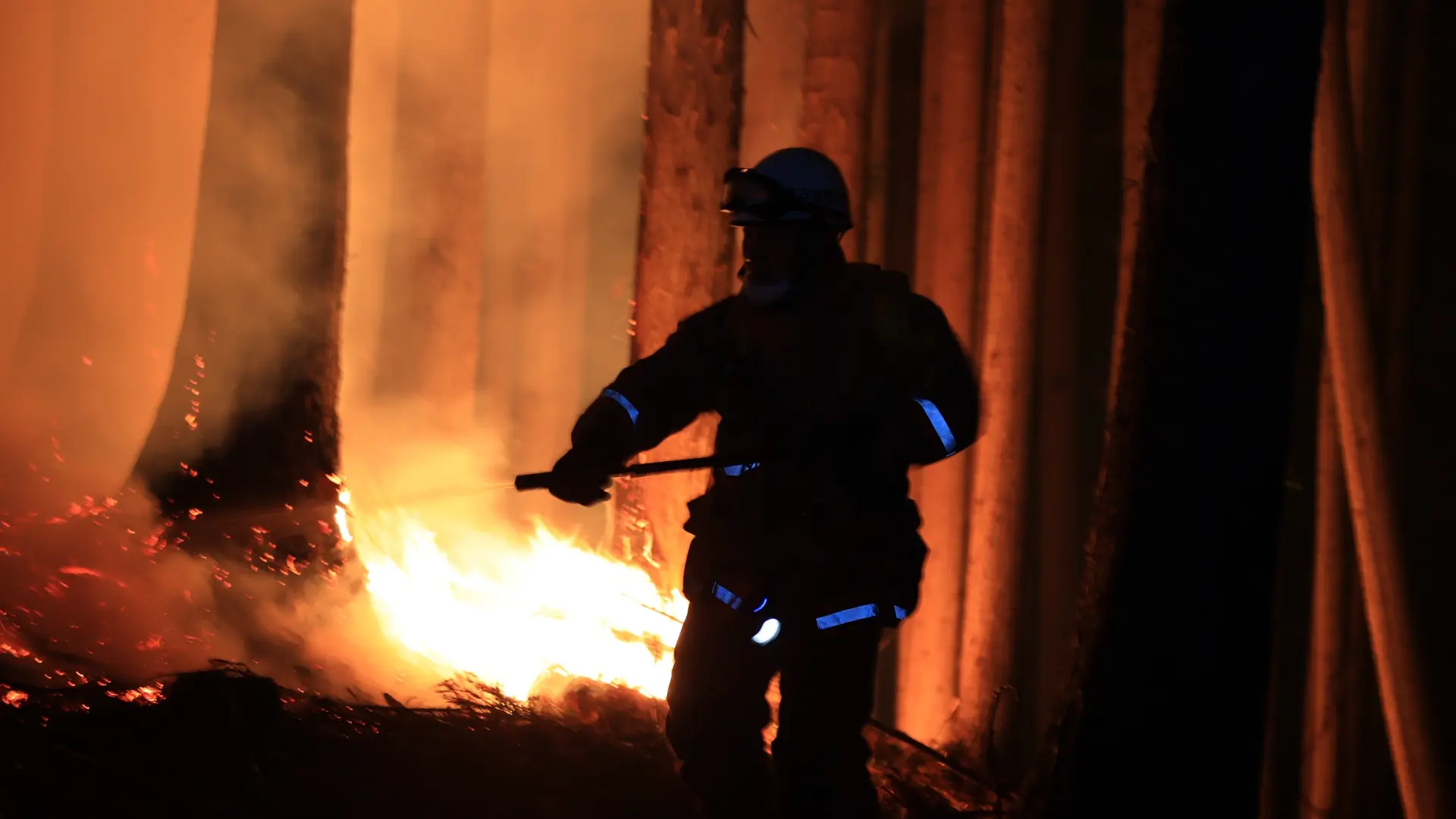 El mayor incendio forestal de las últimas tres décadas en Japón ya ha calcinado 2.600 hectáreas