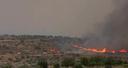 Netanyahu alerta que incendios forestales se extienden y pueden alcanzar Jerusalén
