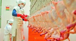China suspende 60 días las importaciones de pollo brasileño tras brote de gripe aviar