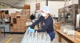 Hidalgo, entre los estados con mayor creación de empleo formal en México