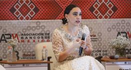 Bancos, gobierno y empresas no han hecho lo suficiente para que aumente el crédito para las mipymes: Altagracia Gómez