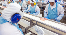 Gripe aviar: Brasil suspende la exportación de pollo a Argentina, China y la UE