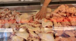 México suspende importación de productos avícolas de Brasil por foco de gripe aviar