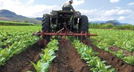 Fedeagro señaló que sector agrícola necesita inversión para actualizar maquinarias