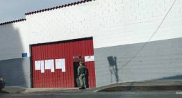 «Soledad» fue la única que salió a votar en Mérida este #25May (FOTOS)