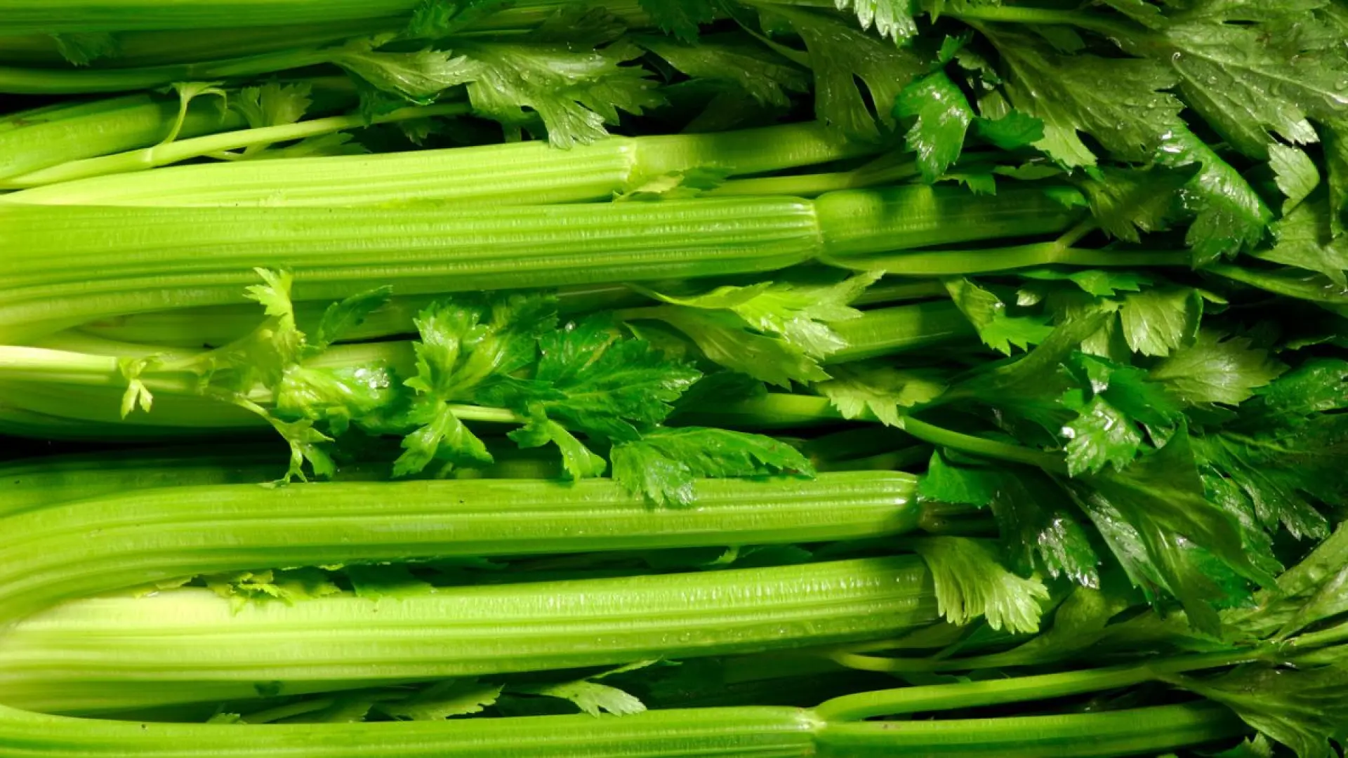 Ni piña ni remolacha: el alimento que es un gran diurético que puede tratar la hipertensión
