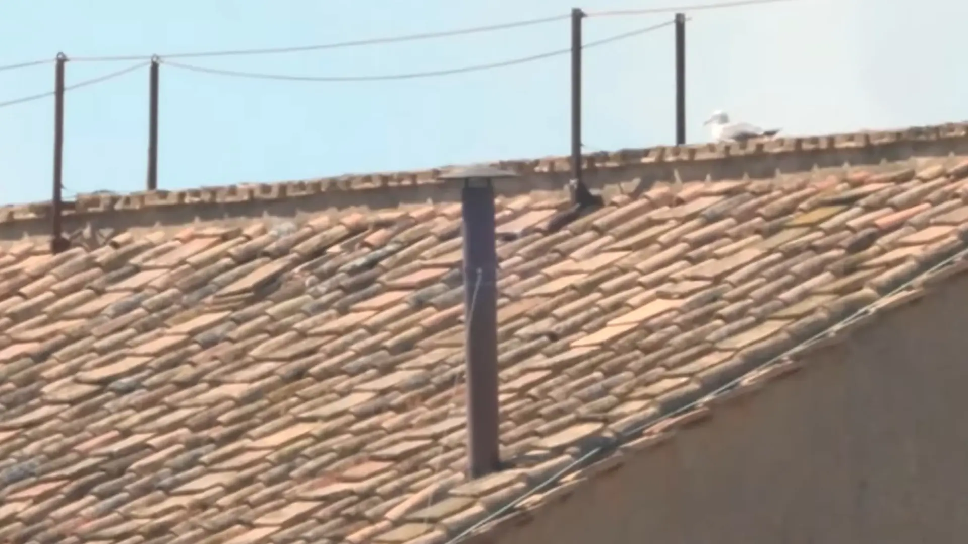 La fumata, en directo | Sigue el vídeo de la chimenea del Vaticano para saber al instante si hay nuevo Papa