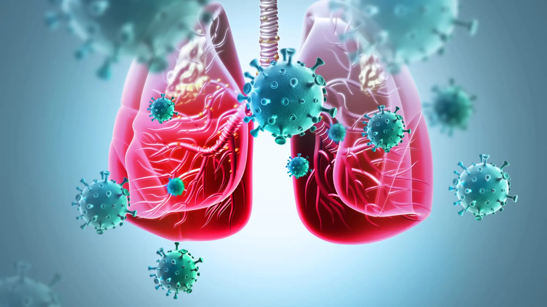 Un pionero programa permite a reputados oncólogos formar a nuevos investigadores en cáncer de pulmón