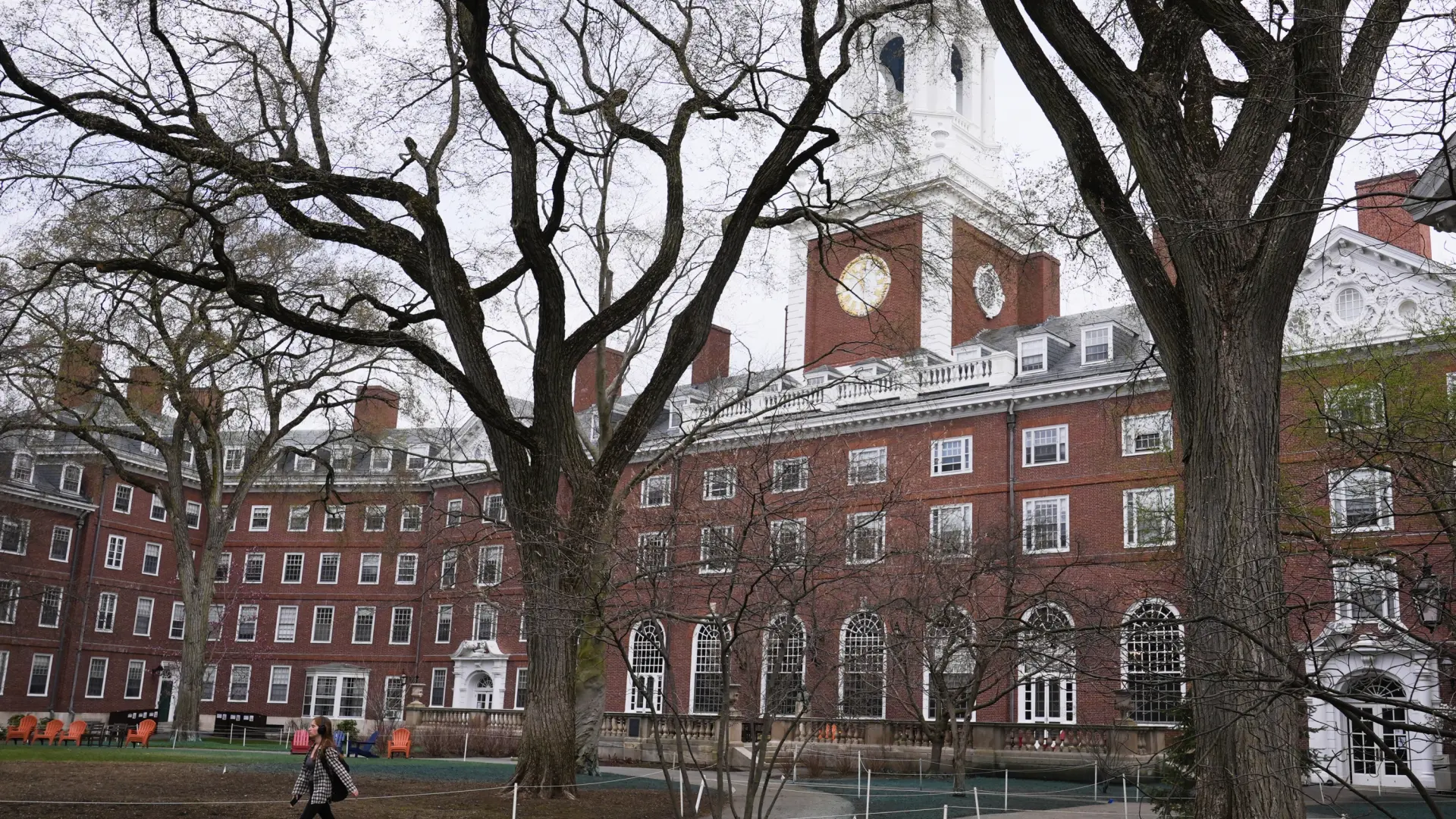 Trump retira otros 450 millones de dólares de financiación a Harvard